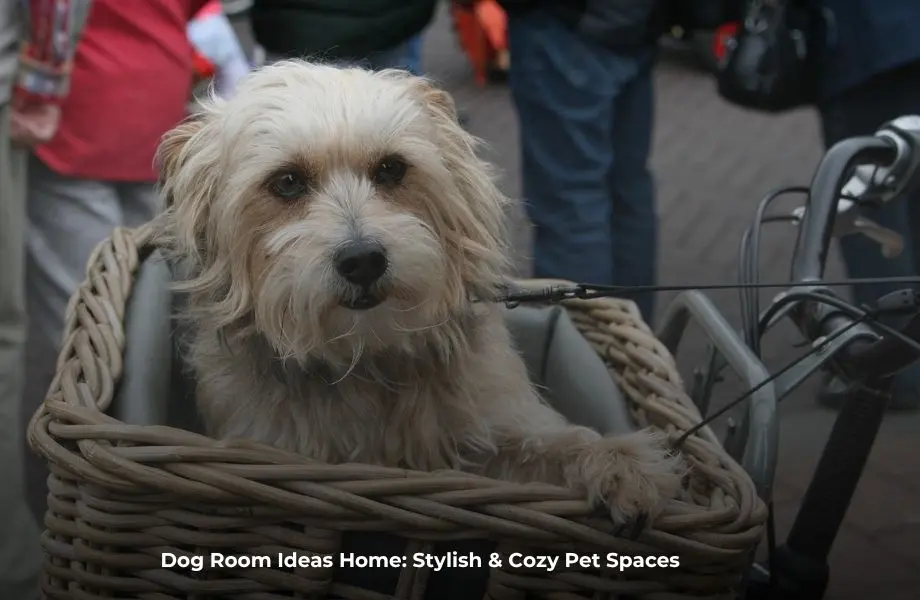 dog room ideas home stylish cozy pet space interior design