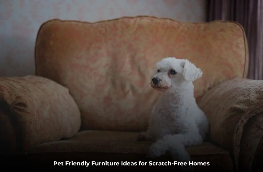 pet friendly furniture ideas for a modern scratch resistant living room with pets