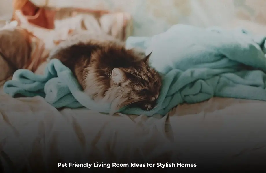Pet friendly living room ideas featuring a stylish and comfortable space for pets and families