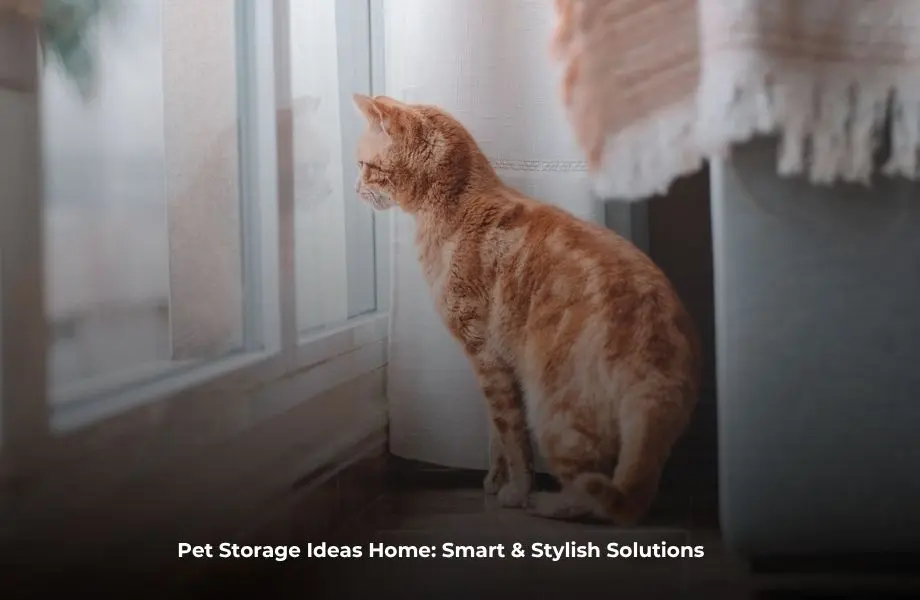 pet storage ideas home stylish baskets and organised pet supplies in modern living room