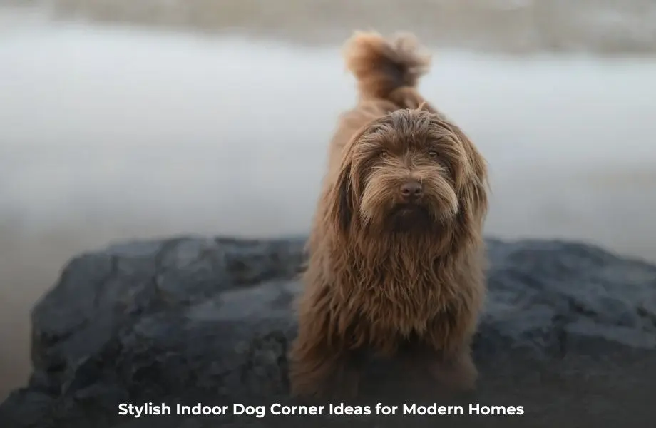dog corner ideas indoors stylish cozy pet space in modern home interior