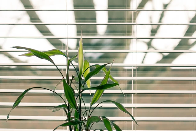 Conservatory blinds ideas