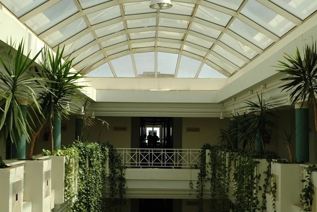 Conservatory roof ideas